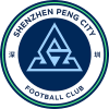 심천 펑 시티 Logo