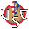 크레모나 Logo